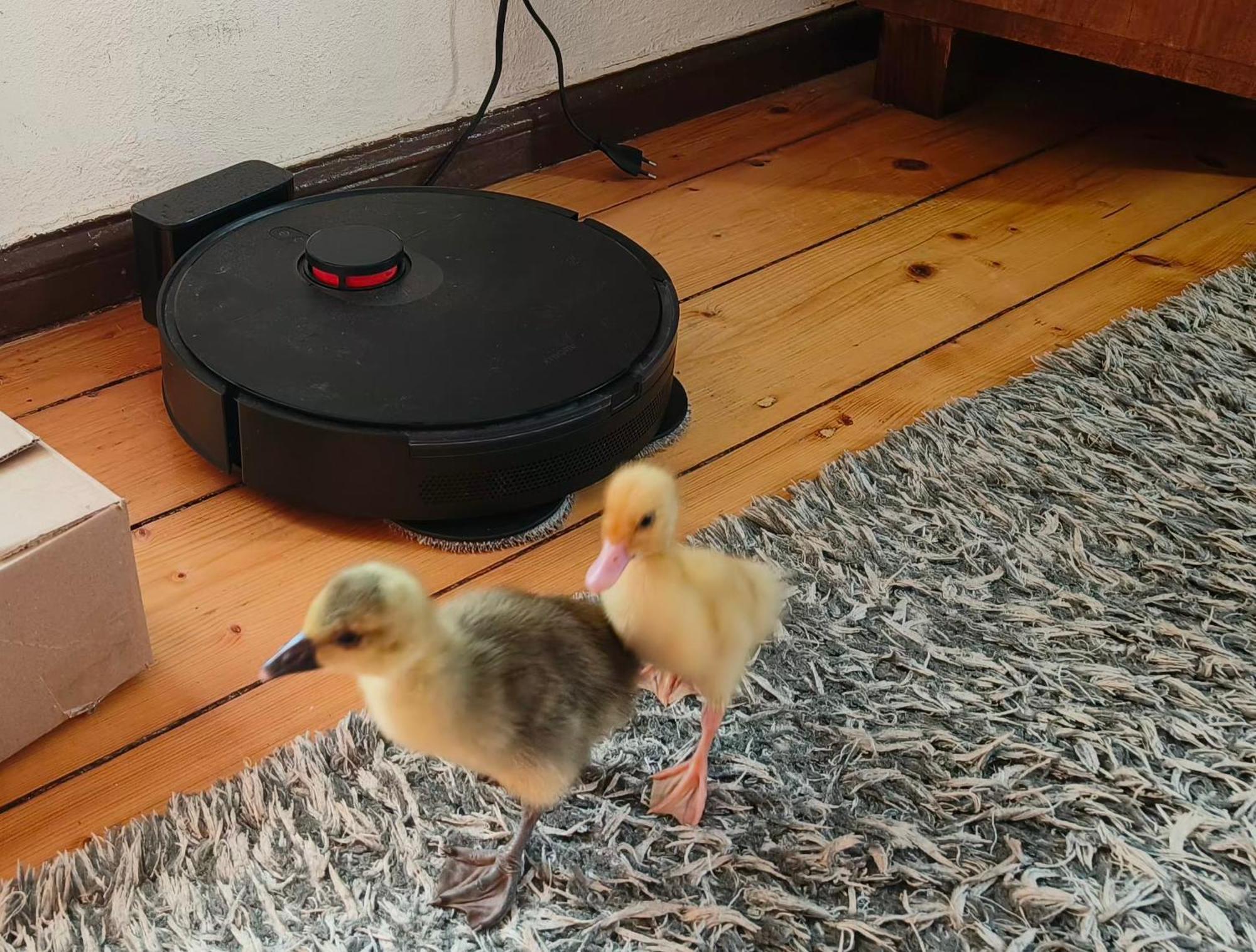 Dom Otwarty Daire Jelenia Gora Dış mekan fotoğraf